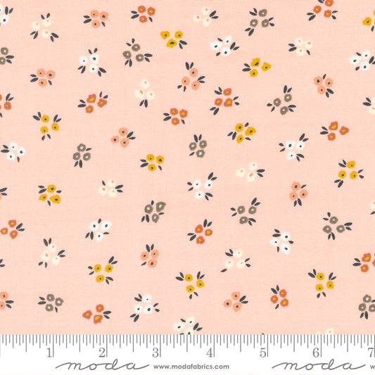 Dawn on the Prairie: Flowers in Bubble Gum