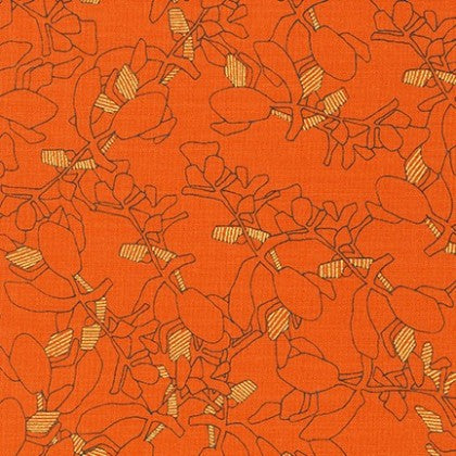 Collection CF: Succulent in Orangeade