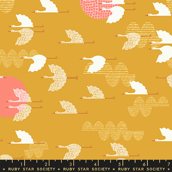 Koi Pond: 1000 Cranes in Cactus