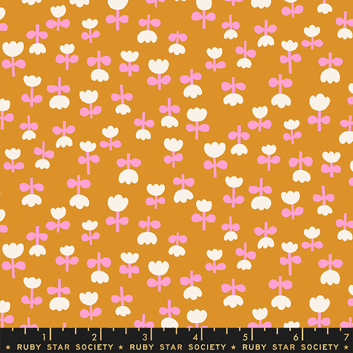 Petunia: Tulips in Honey