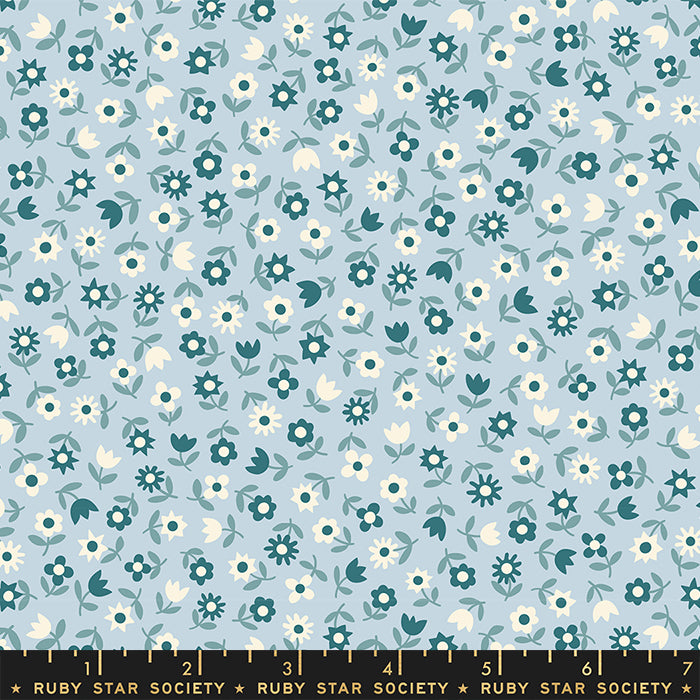 Picture Book: Floral in Water Blue