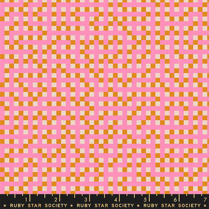 Picture Book: Maze in Flamingo