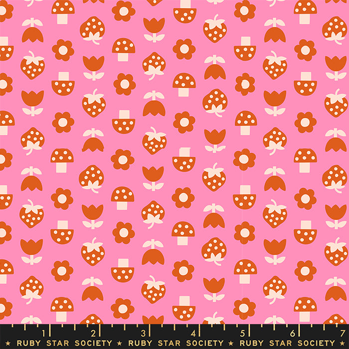 Picture Book: Strawbitties in Flamingo