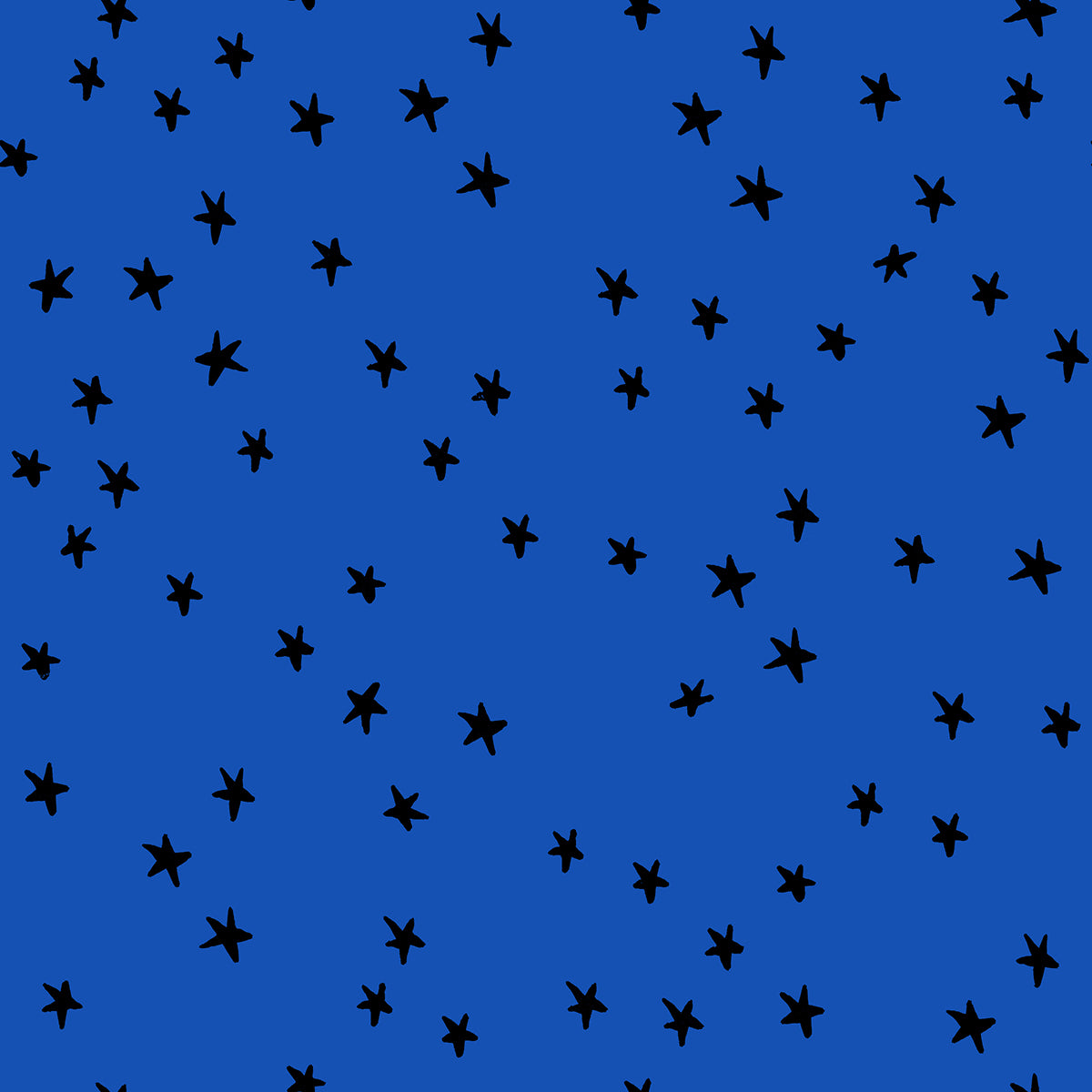 Starry in Blue Ribbon
