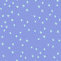 Starry - Dusk