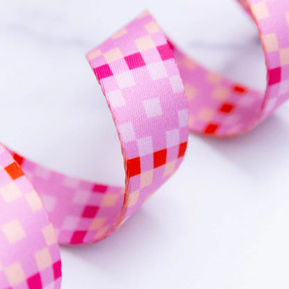 Webbing - Quadrilateral in Macaron 1" Wide