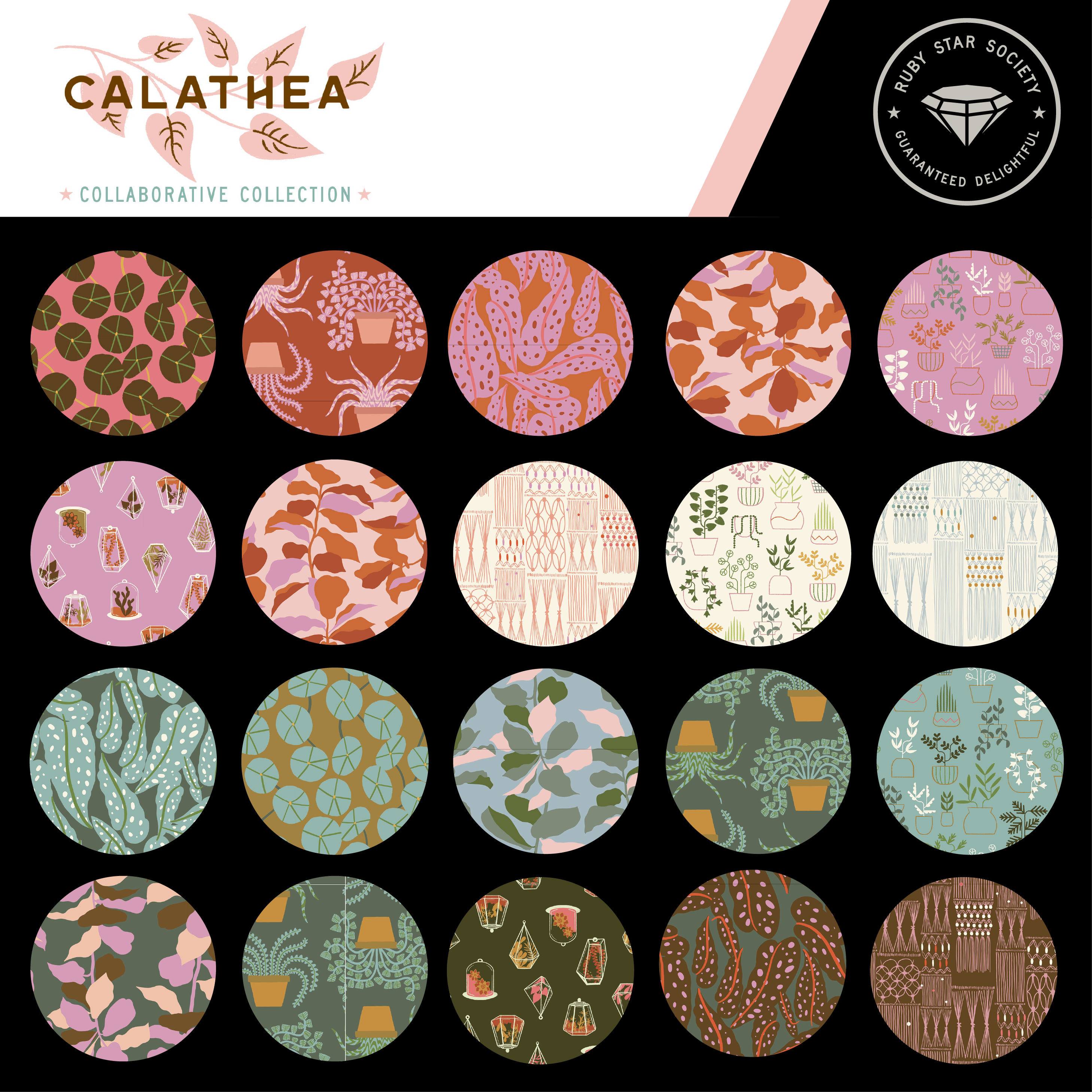 Calathea Charm Pack